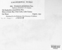 Image Associated With the Occurence
